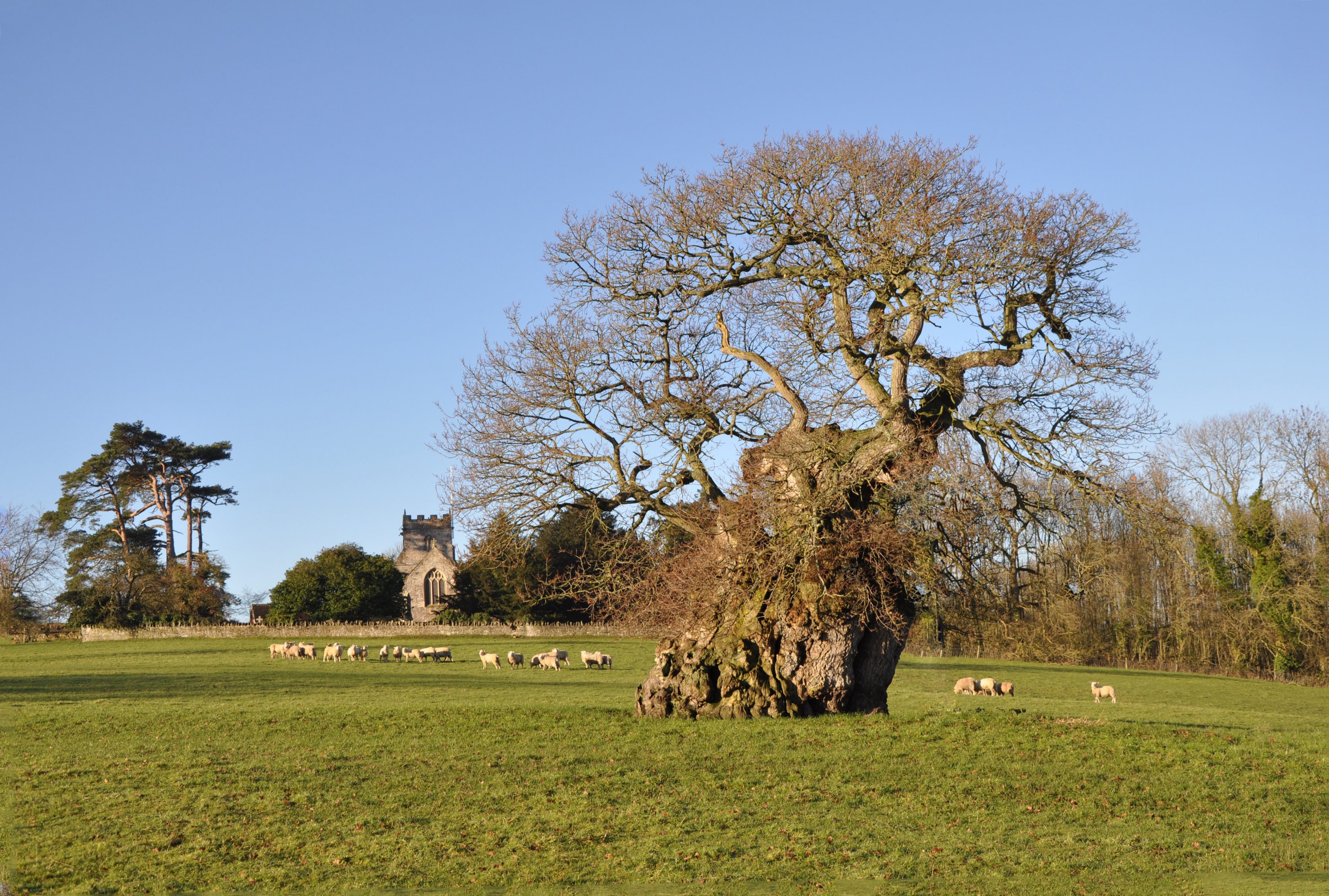 Silton Village Dorset Silton Village / Dorset